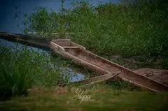 Photo00027