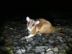 Photo00031