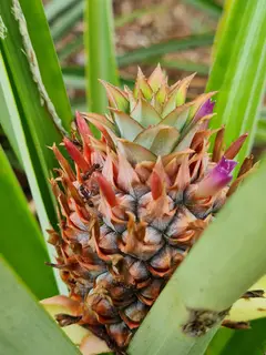 Photo00098