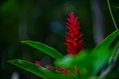 Photo00101