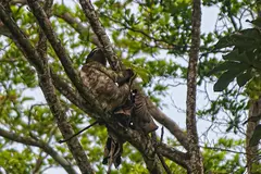 Photo00104