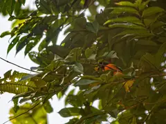 Photo00108