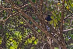 Photo00114