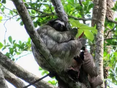 Photo00123
