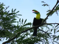Photo00127