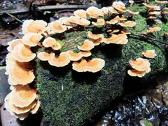 Photo00133